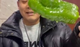 下沙网红吃瓜事件视频大全,视频大全揭秘幕后真相