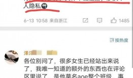 新的新闻爆料是真的吗视频,揭秘真相，真相究竟如何？
